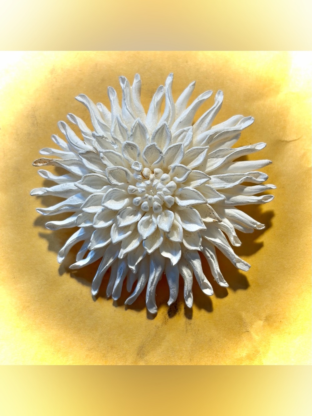 Vintage White “Sea Coral” Or “Spiked Flower” Carved Celluloid Brooch Pin